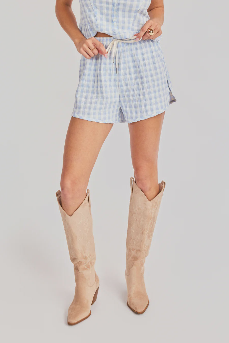 woman wearing blue checkered gingham shorts