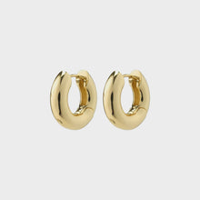 Load image into Gallery viewer, Pilgrim Aica Earrings
