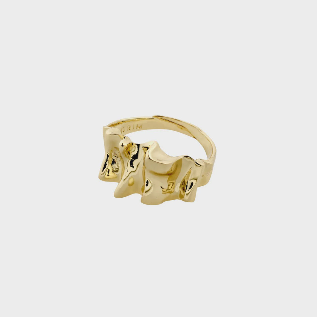 Pilgrim Willpower Ring